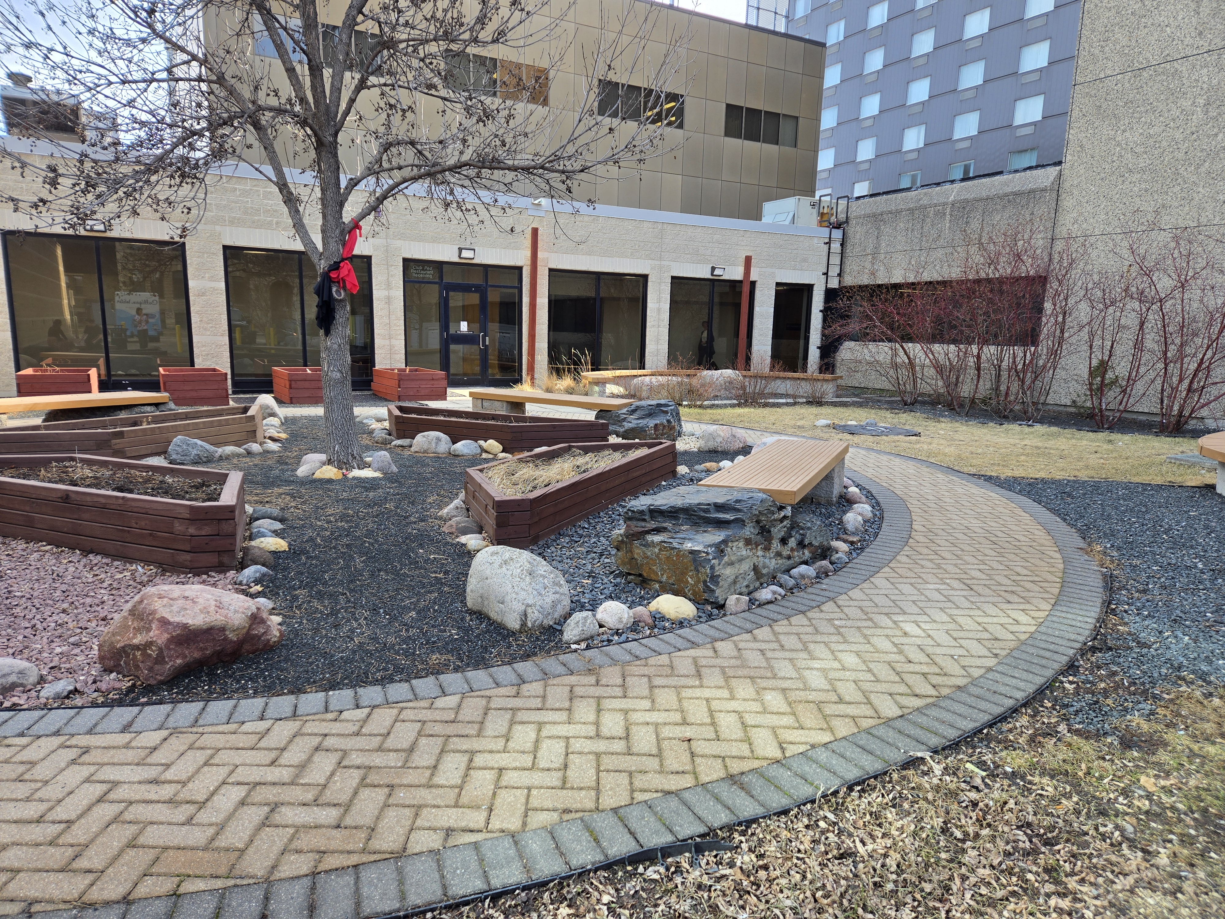 Mashkiki Gitigaan Medicine Garden in the spring