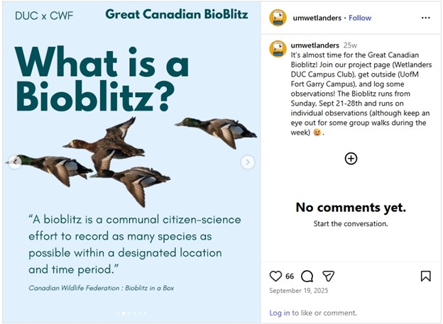 UM Wetlanders Instagram post promoting bioblitz event. 