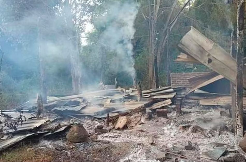 burned landscape