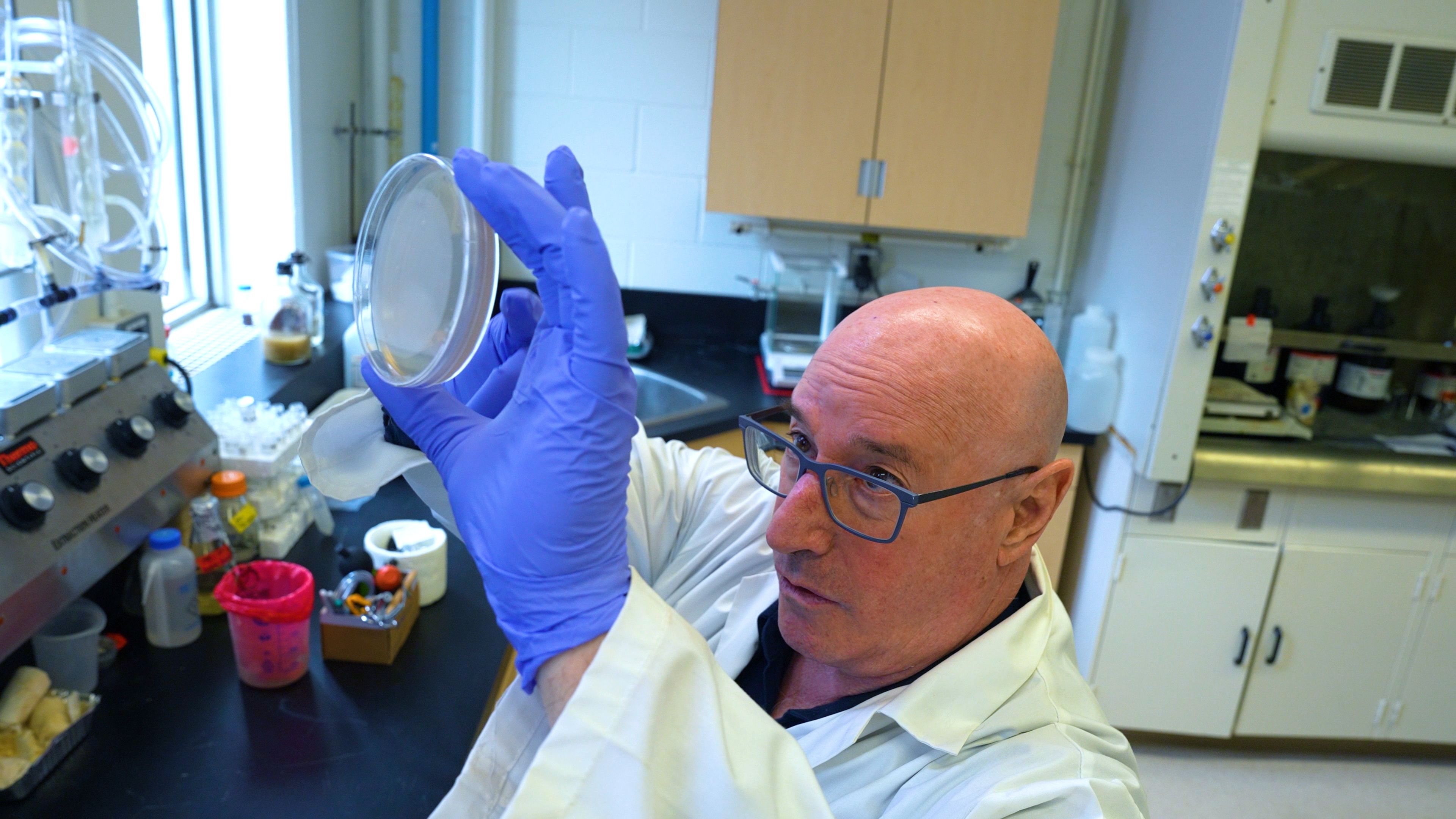 Dr. Levin holding a Petri dish