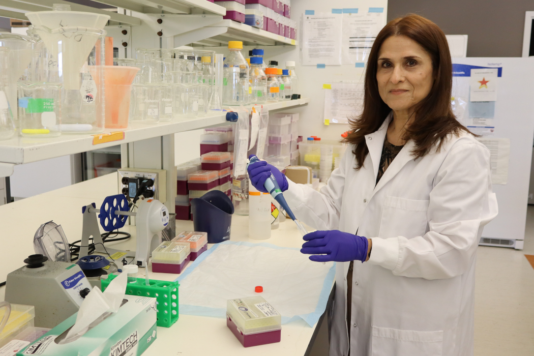 Dr. Soheila Karimi holds a pipette in her lab. 