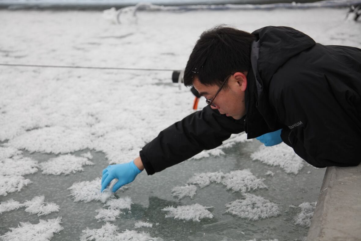 A man leans over Arctic waters.