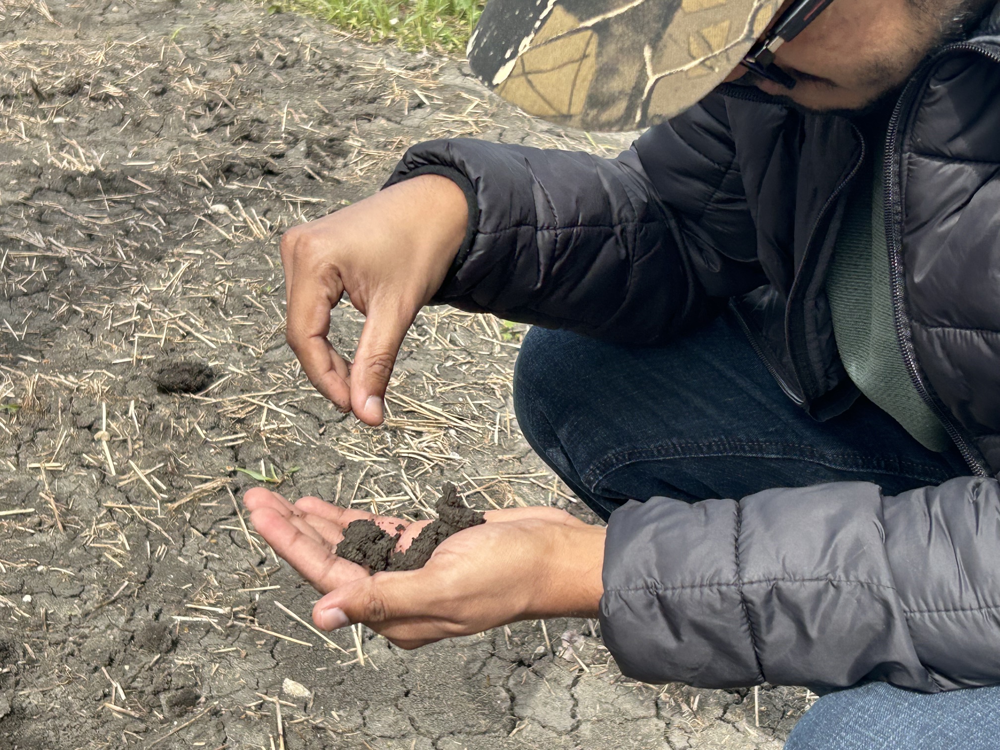 Two hands holding soil.
