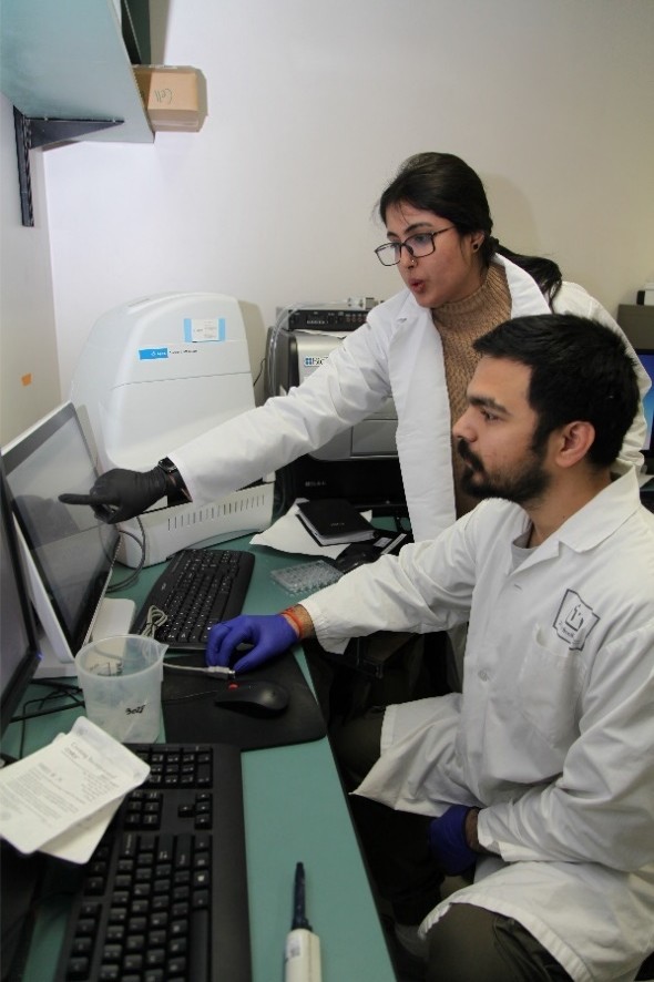 students working in lab