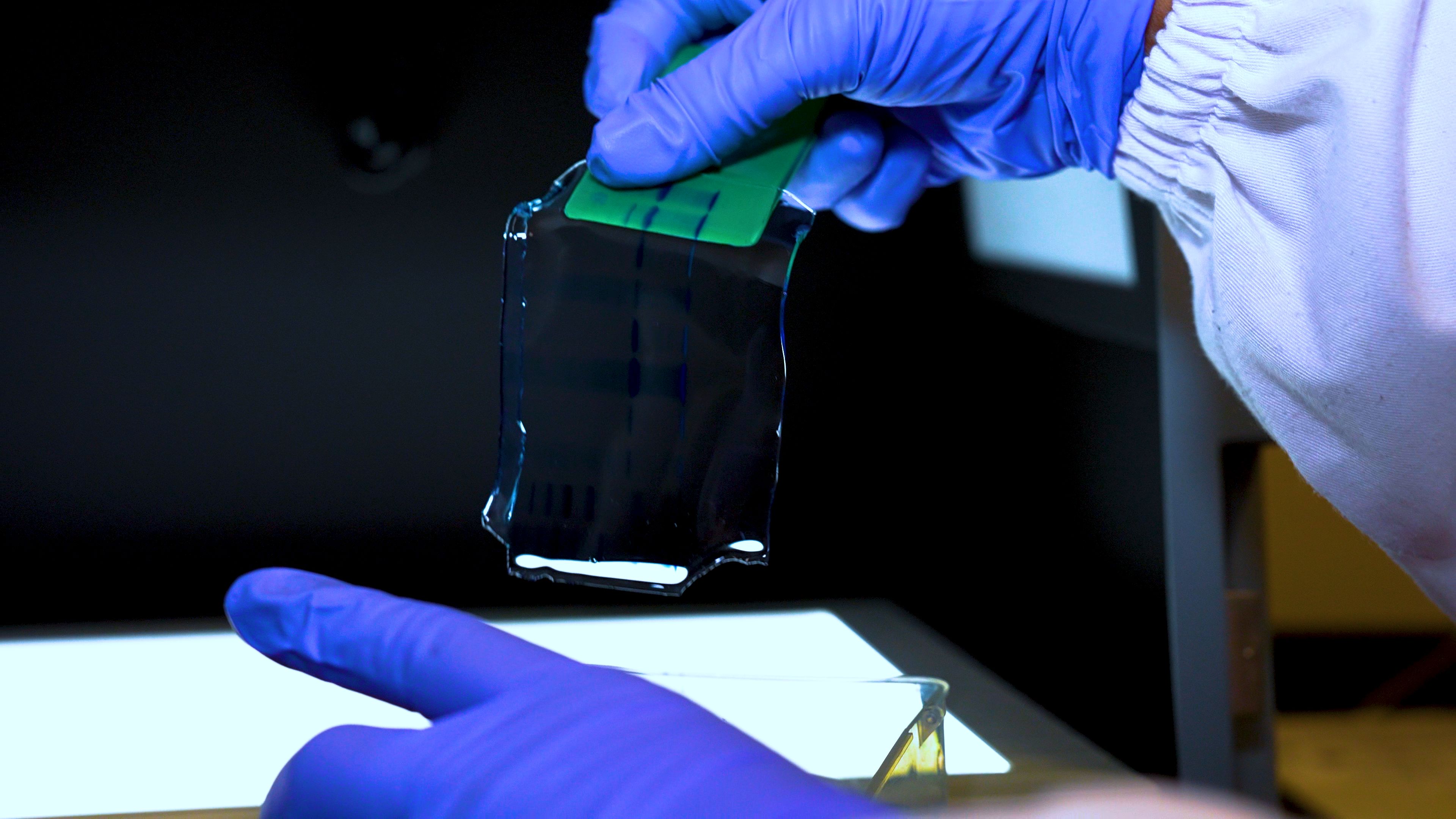 gloved hands holding plastic sheet