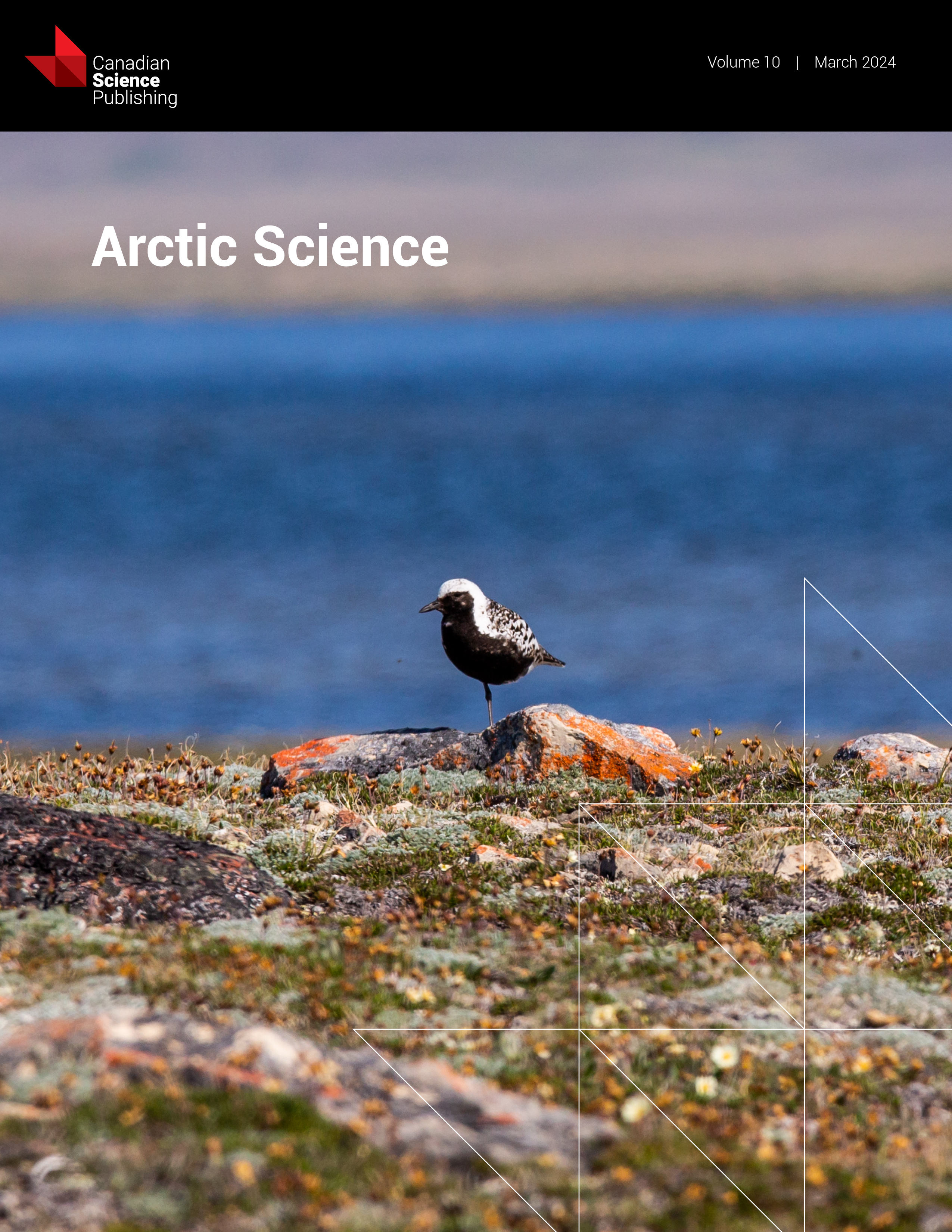 Cover of an article showing the Arctic