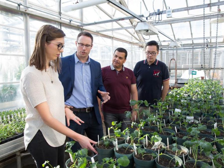 students working in a greenhouse