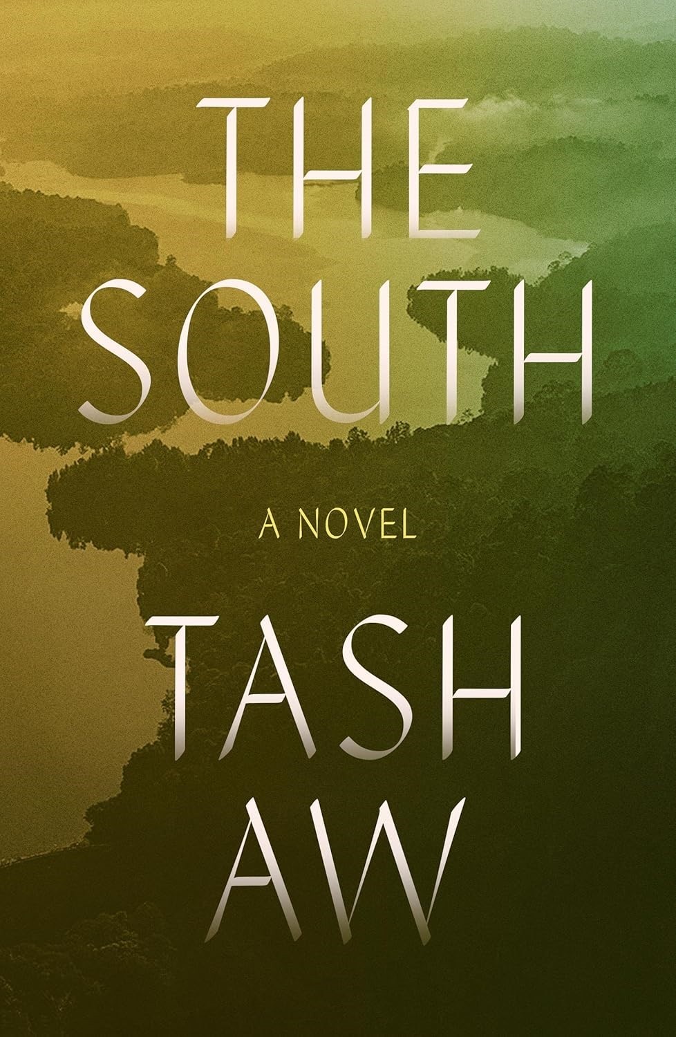 Book cover of The South by Tash Aw