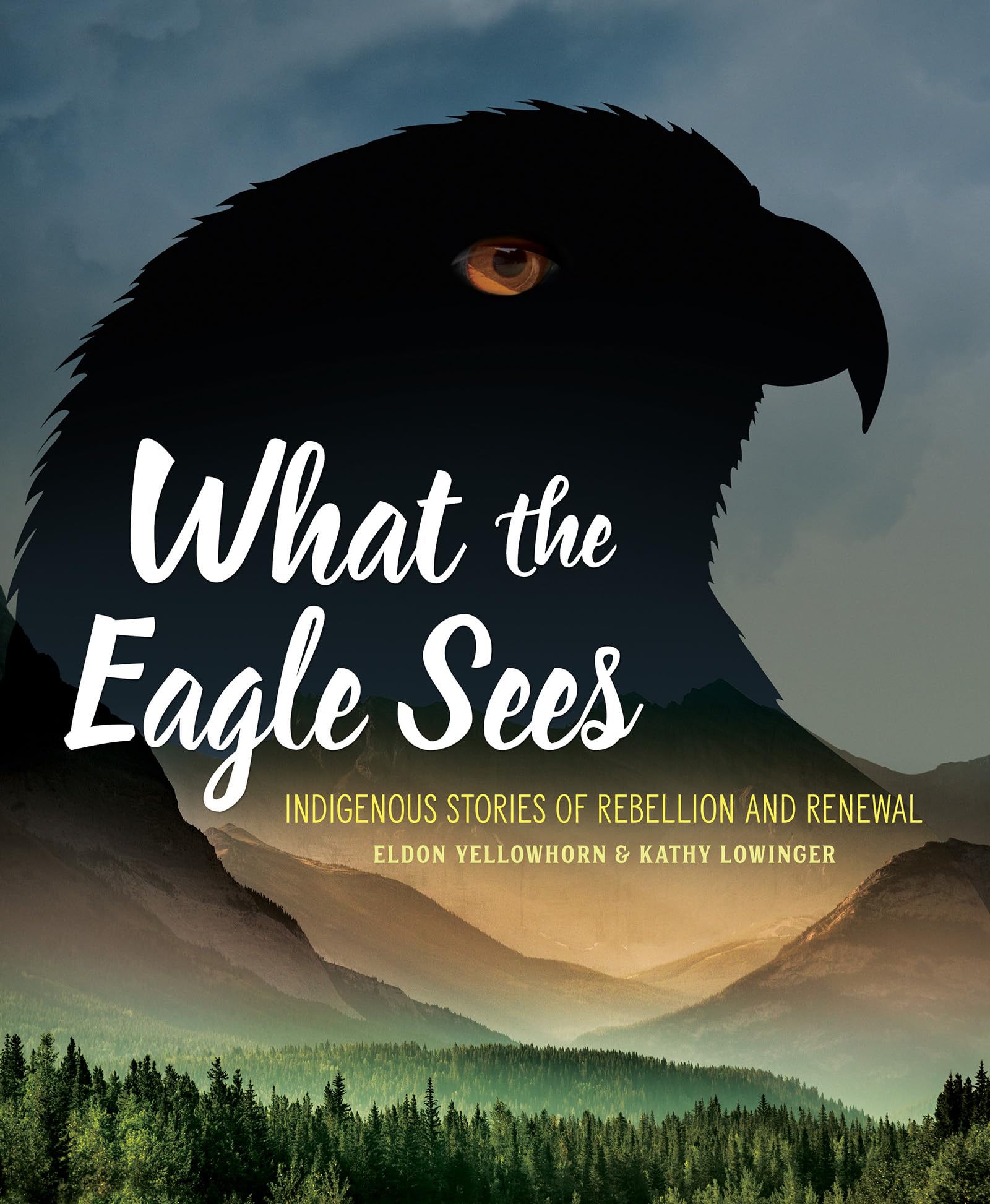 Cover for What the eagle sees: Indigenous stories of rebellion and renewal