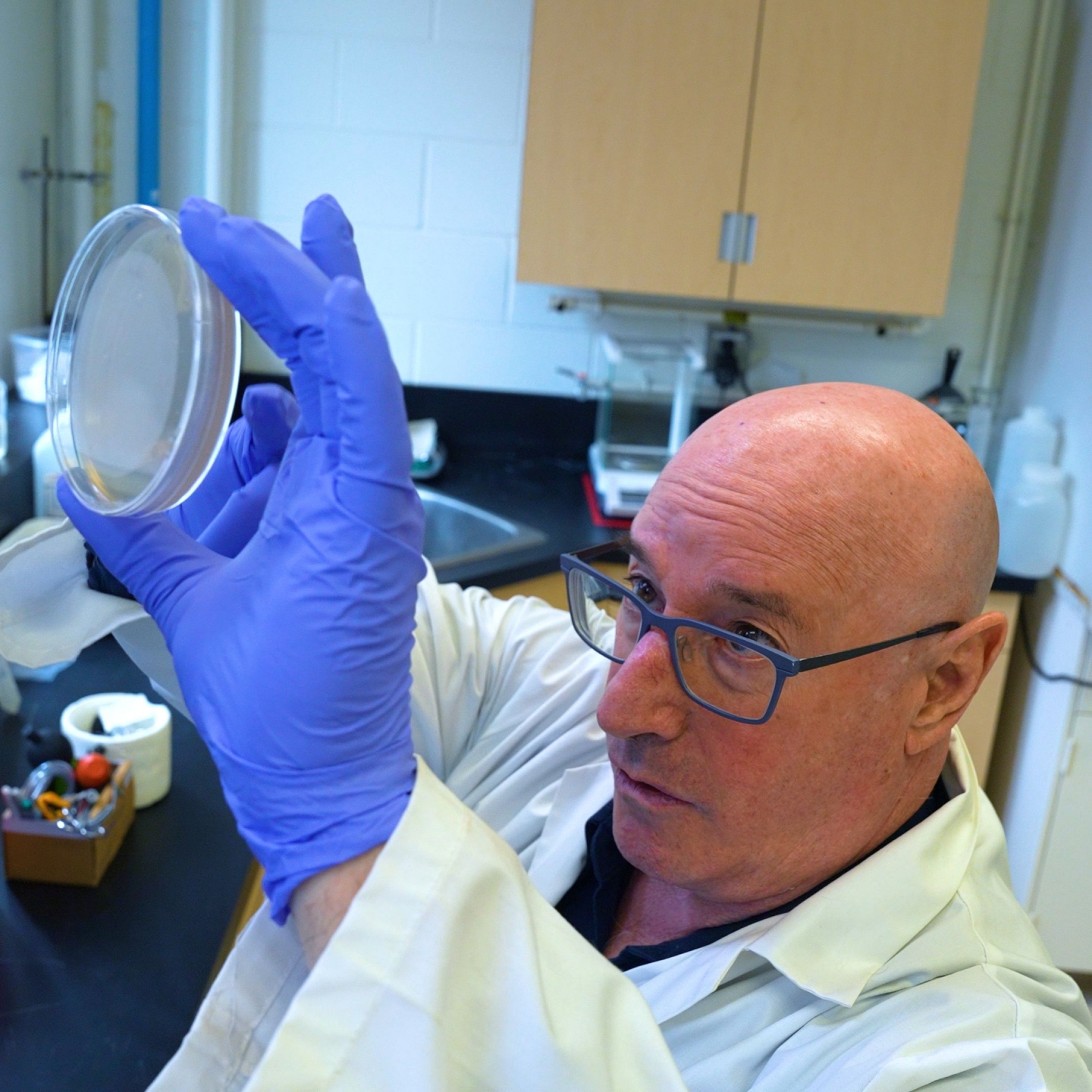Dr. Levin holding a Petri dish