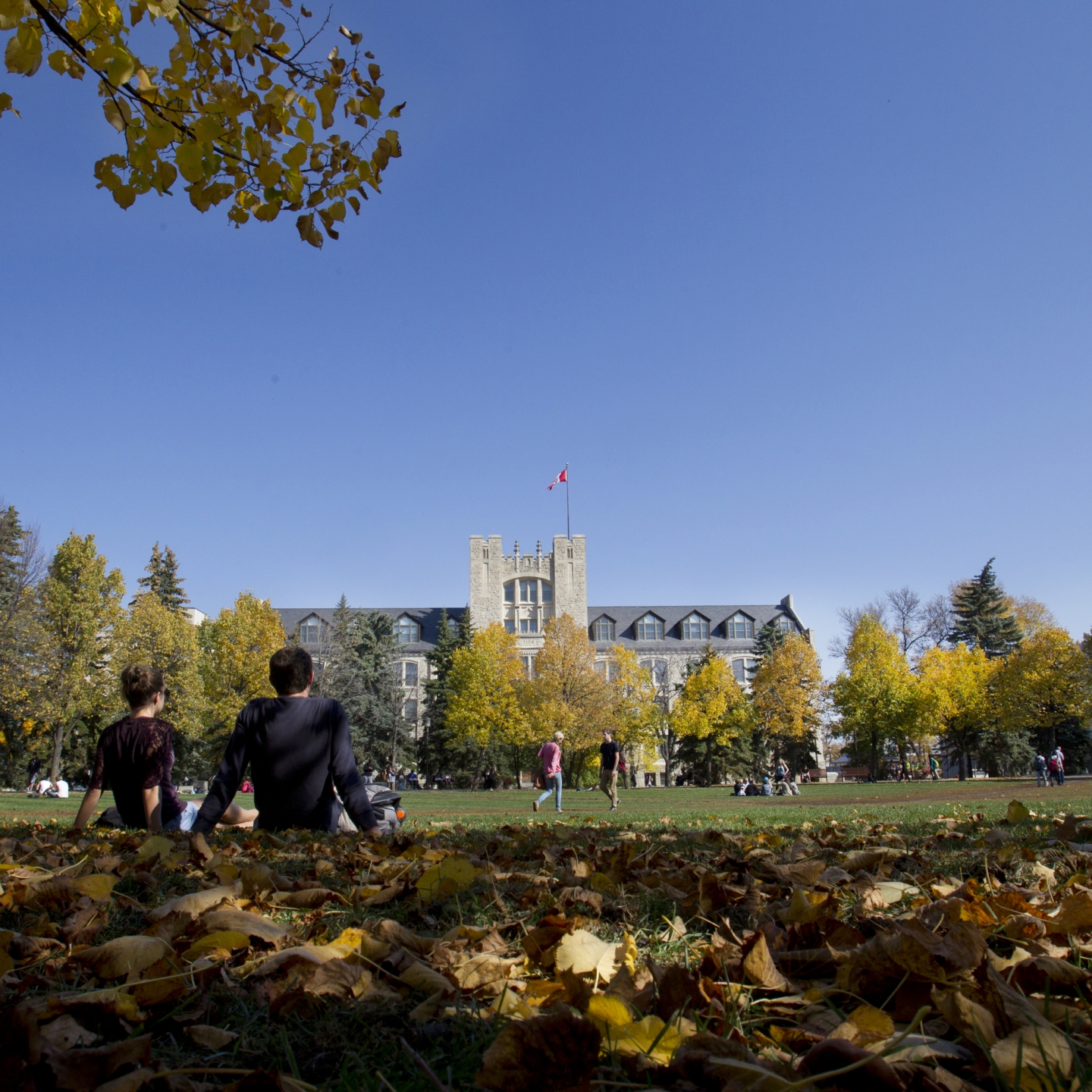 University campus on a fall day 