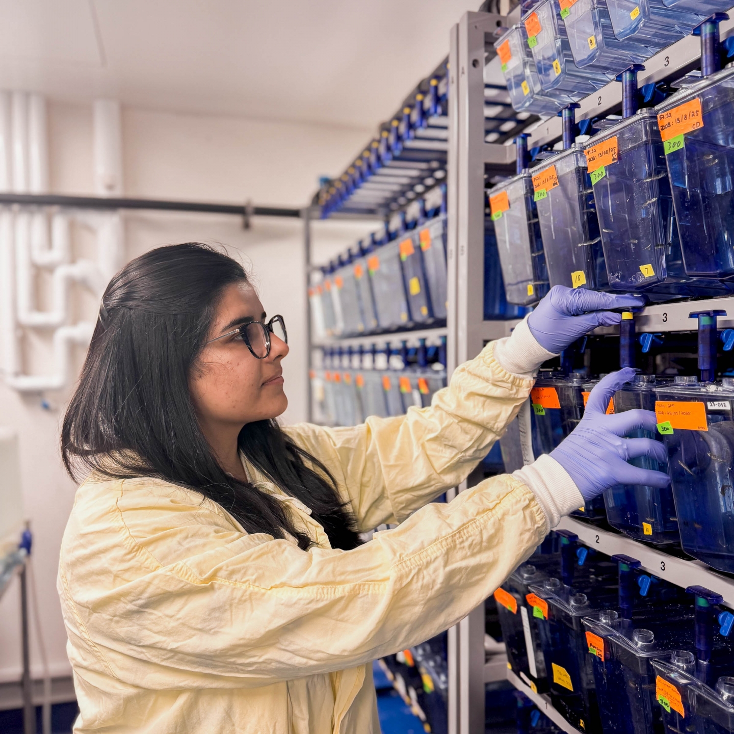 Sanajana Grover works in a science lab