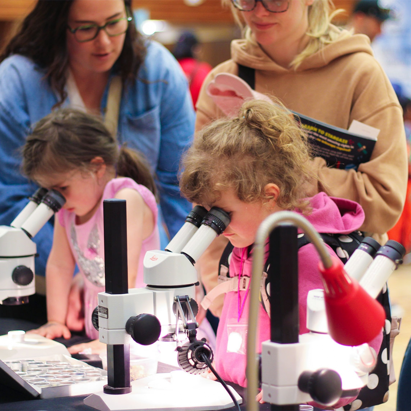 Two kids looking through the microscopes at the Science Rendezvous 2025.