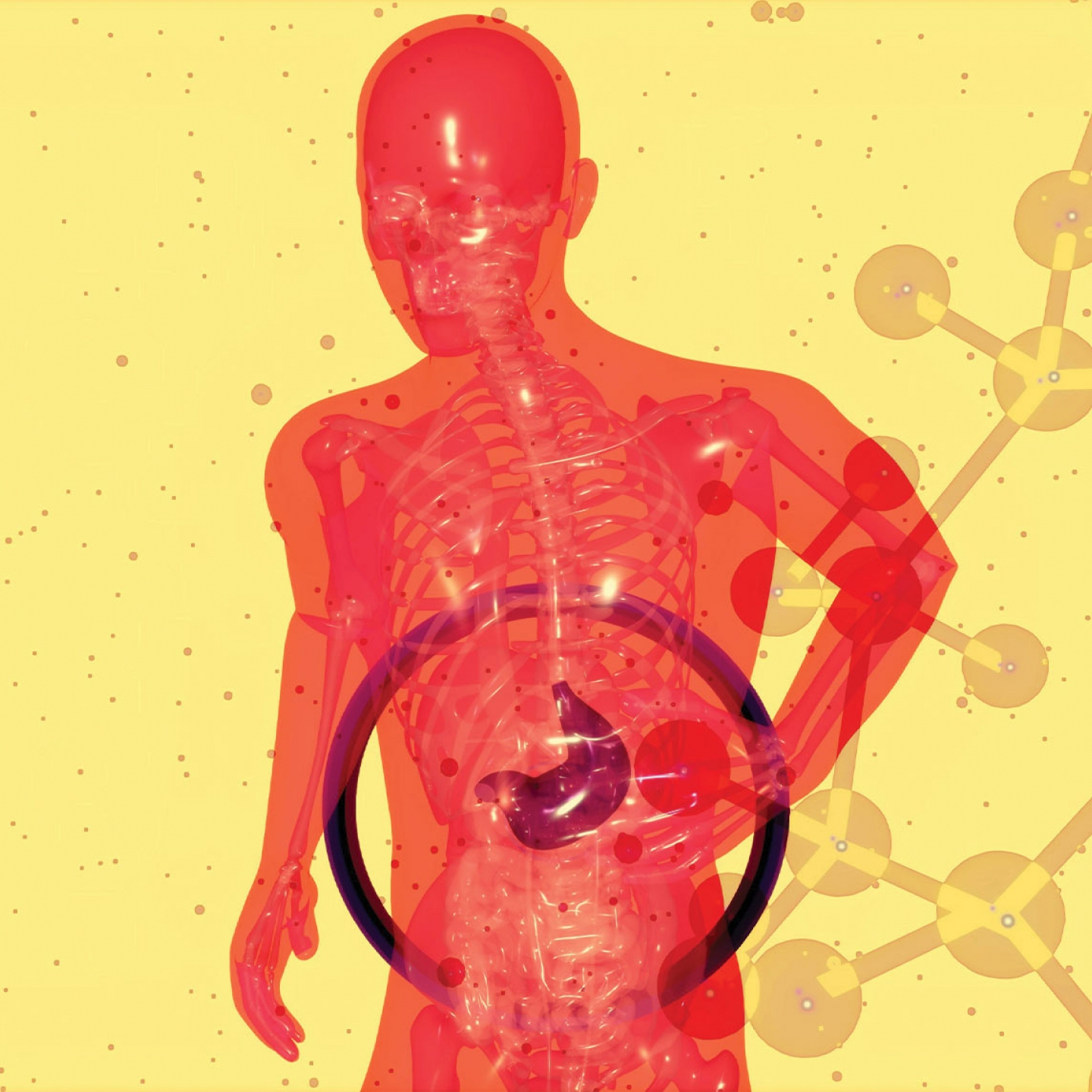 red human figure with a visible skeletal structure, dark purple stomach, a DNA strand on the left and molecular network graphics on a yellow background 