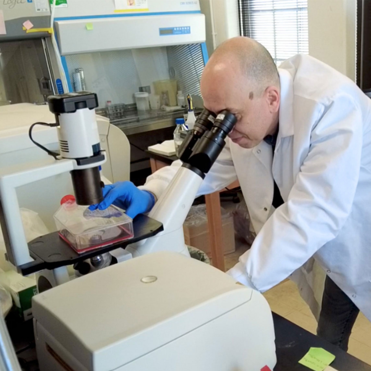 Peter Pelka looking through the microscope on his lab coat.