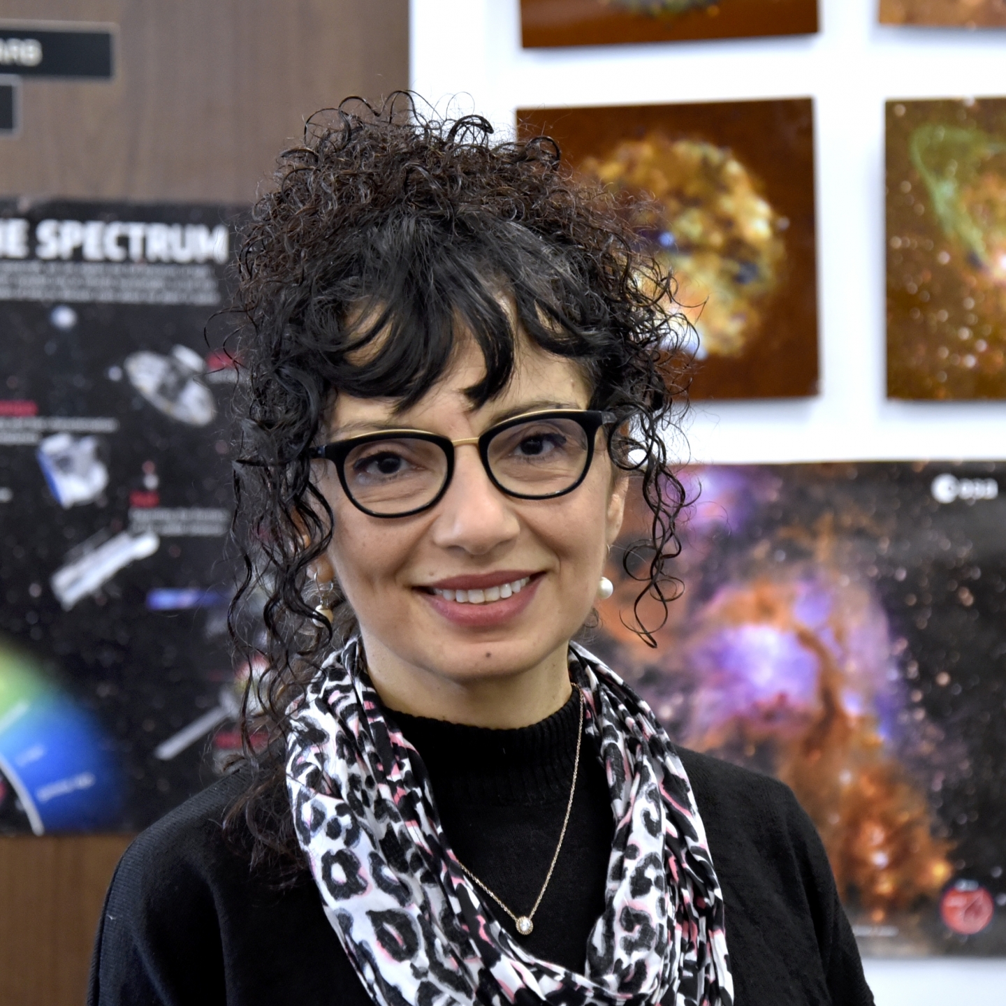 Samar Safi-Harb