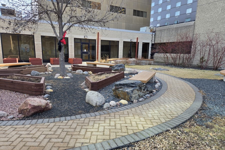 Mashkiki Gitigaan Medicine Garden in the spring