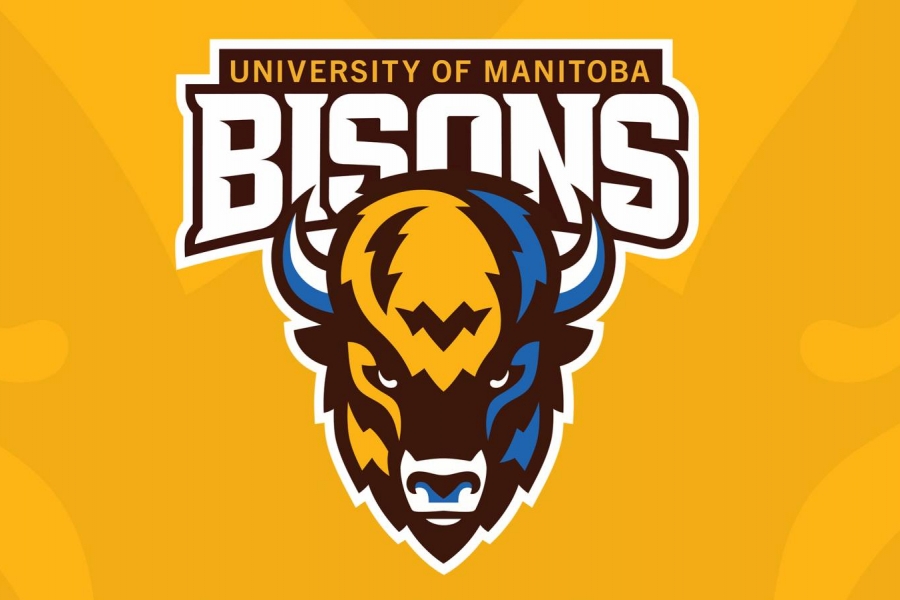 A Bison head in front of the word "Bisons" on a yellow background
