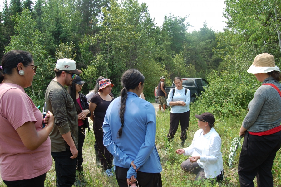 Carla Bird teaching UM students and staff about medicines in a forested area.