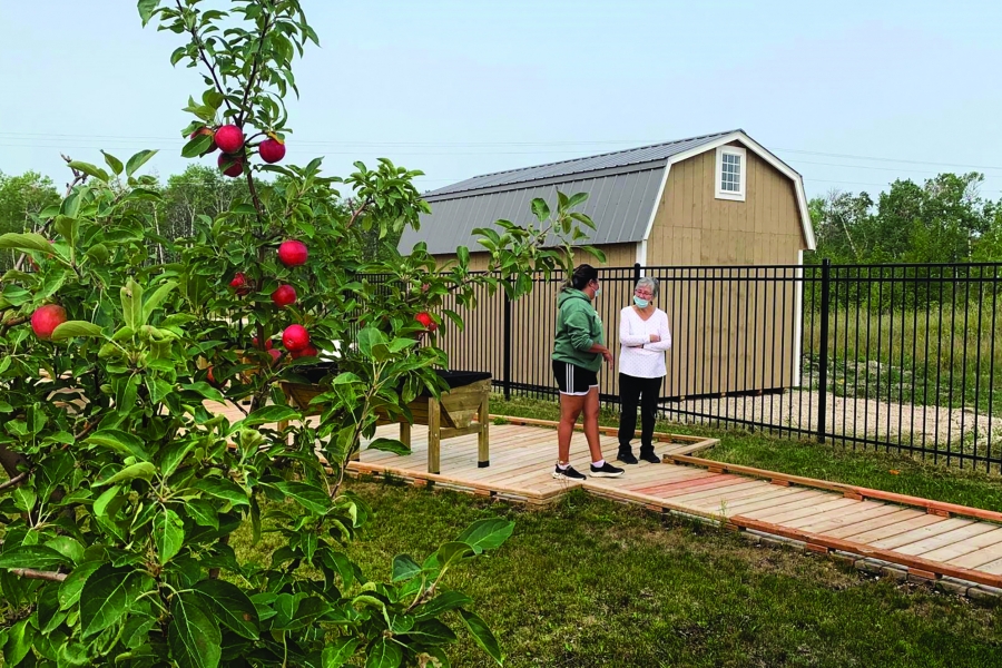 Corrine Clyne speaks with an Elder on a boardwalk. A tree with fresh fruit is seen in the foreground.