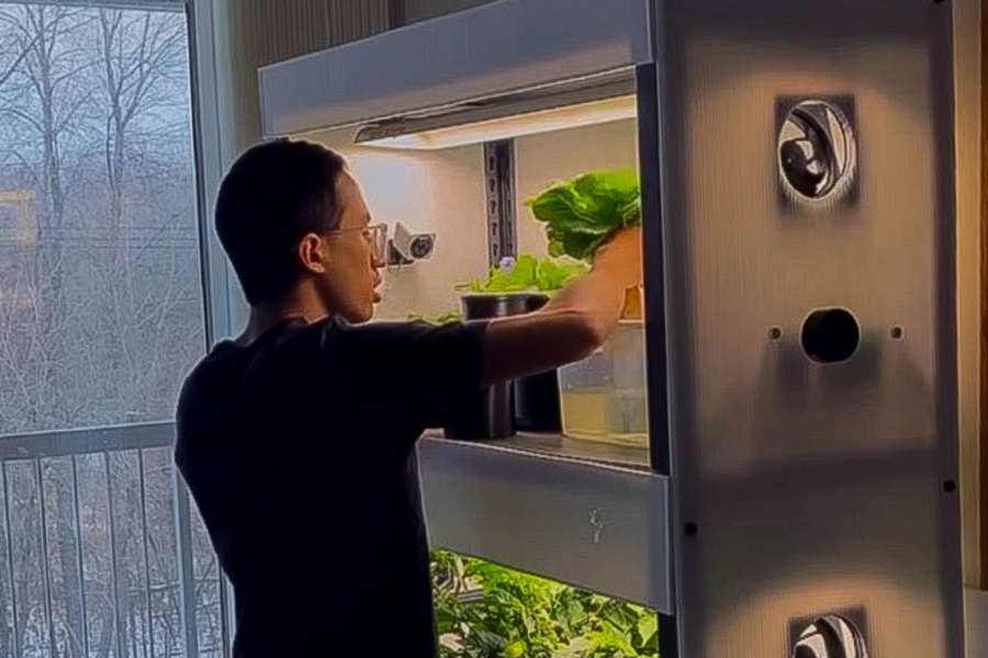 A student tends to plants in a shelf