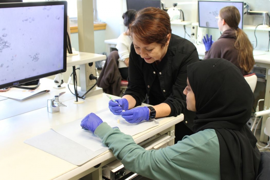 An instructor demonstrates a dental technique with a model tooth and a dental instrument as a student watches.