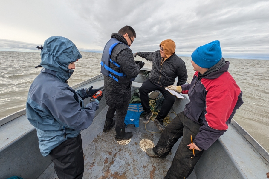 four people on a small boat looking at water samples 