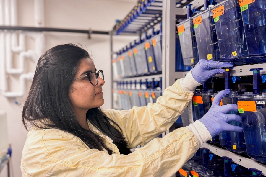 Sanajana Grover works in a science lab