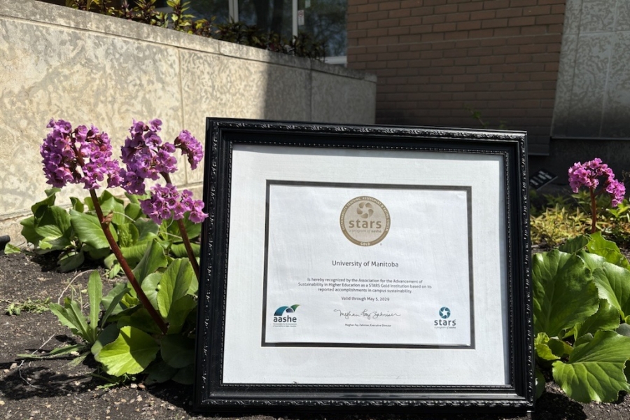 UM's gold award from STARS