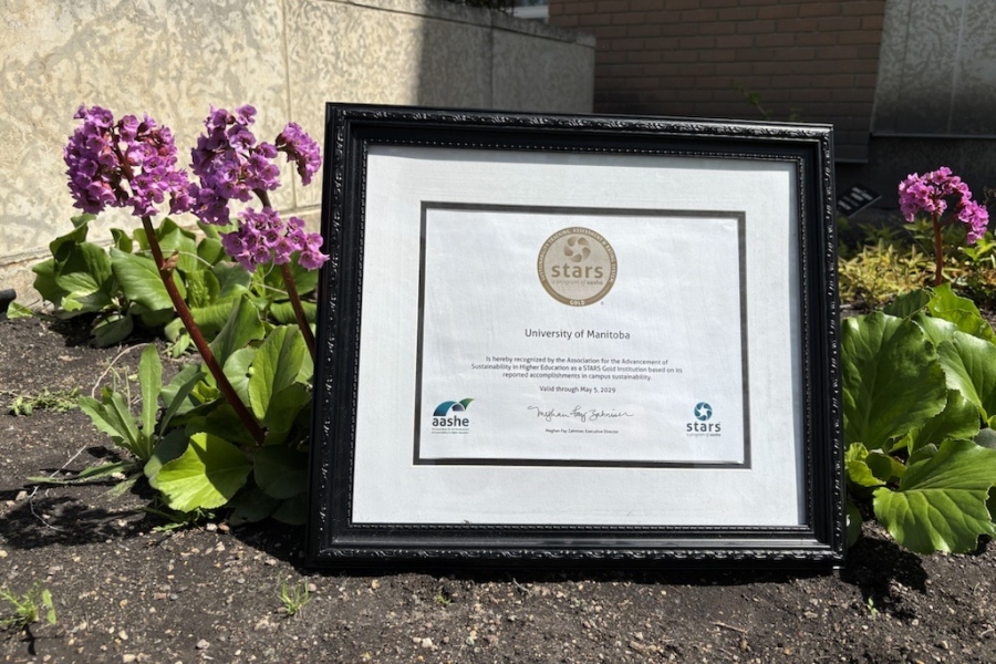 UM's gold award from STARS