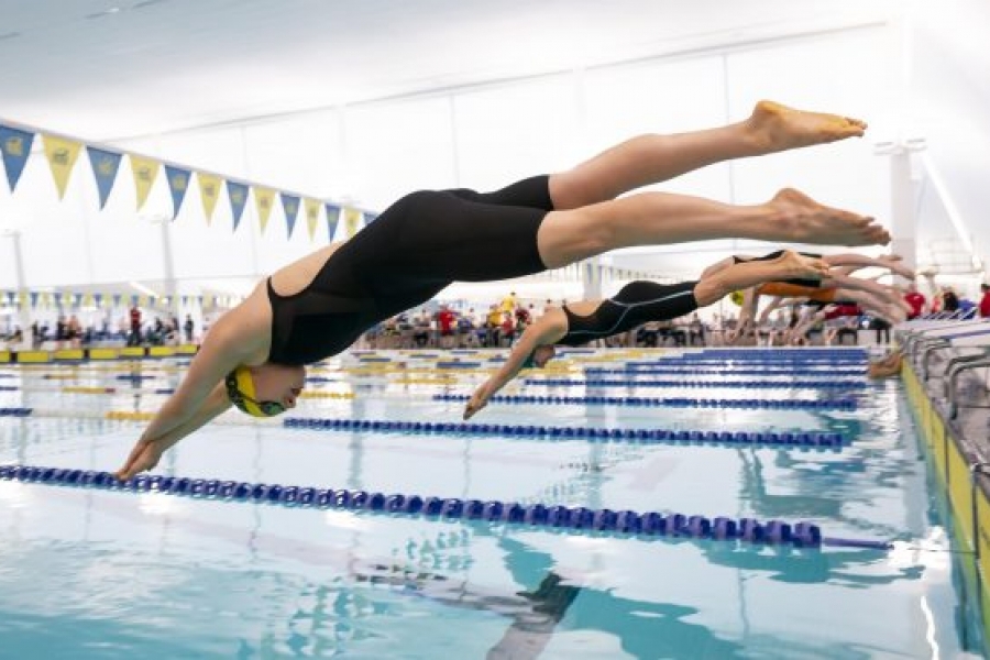 Kelsey Wog diving into the water at the start of a race.