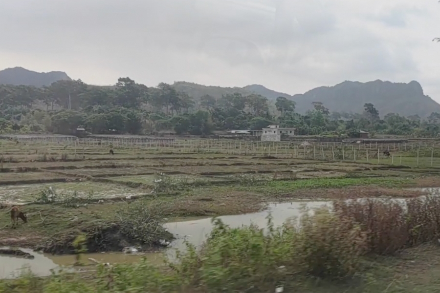 a scene of a green countryside where rice paddies grow with mountains in the distance