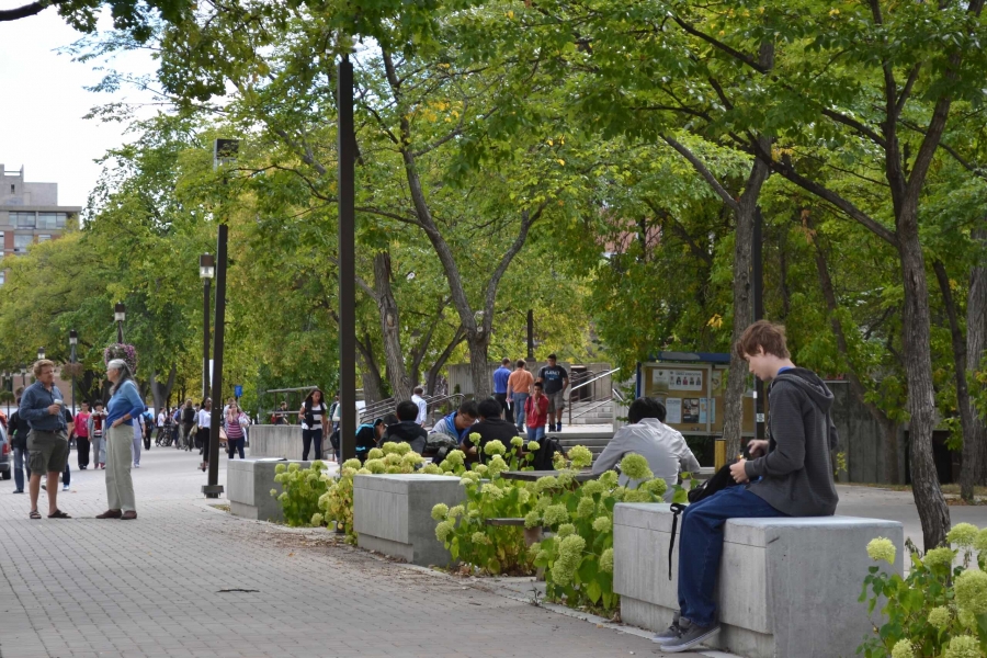 Green trees and planters line a cobbled walkway with people sitting, standing and walking.
