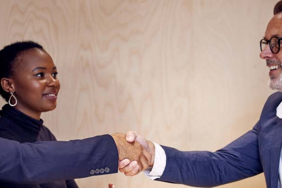 Professionals shake hands