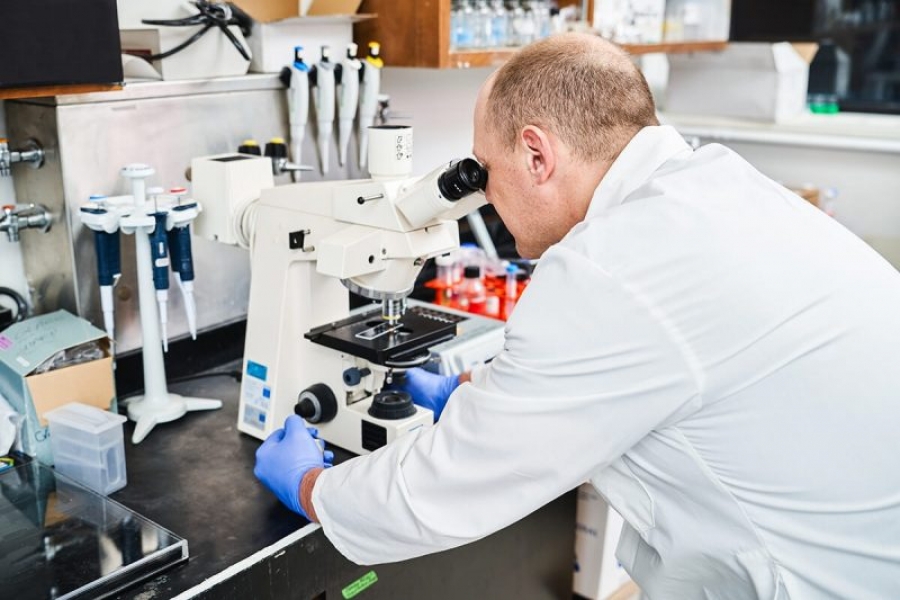 scientist looking into microscope