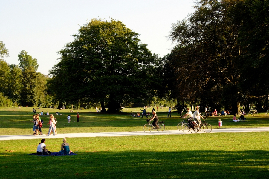 People engaging in outdoor activity in a park, including biking and walking.