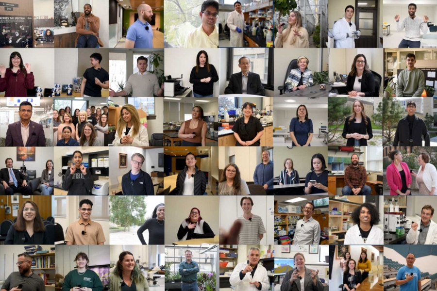 A photo collage of the participants that are included in the FoS wrap 2024 video.