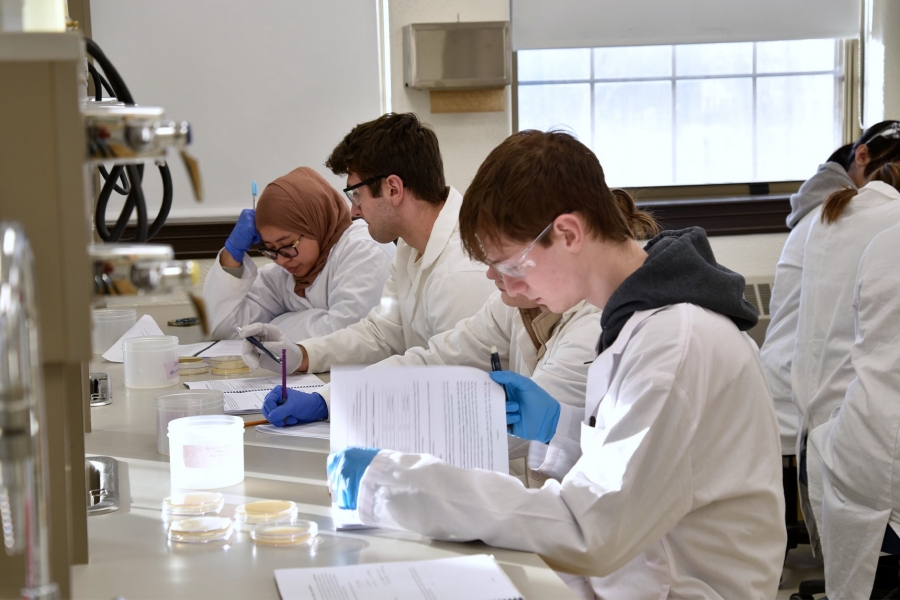 Students in the microbiology class.