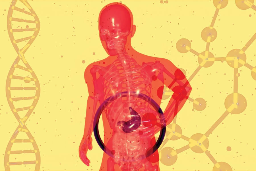 red human figure with a visible skeletal structure, dark purple stomach, a DNA strand on the left and molecular network graphics on a yellow background 