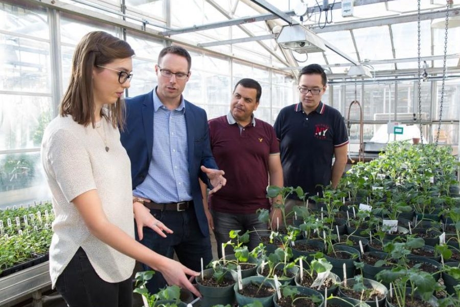 students working in a greenhouse