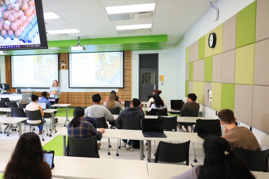 Students listen to an instructor in a well-lit and new class.