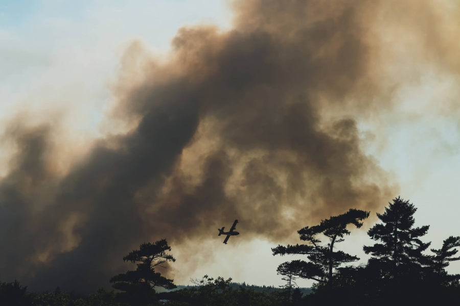 A wildfire