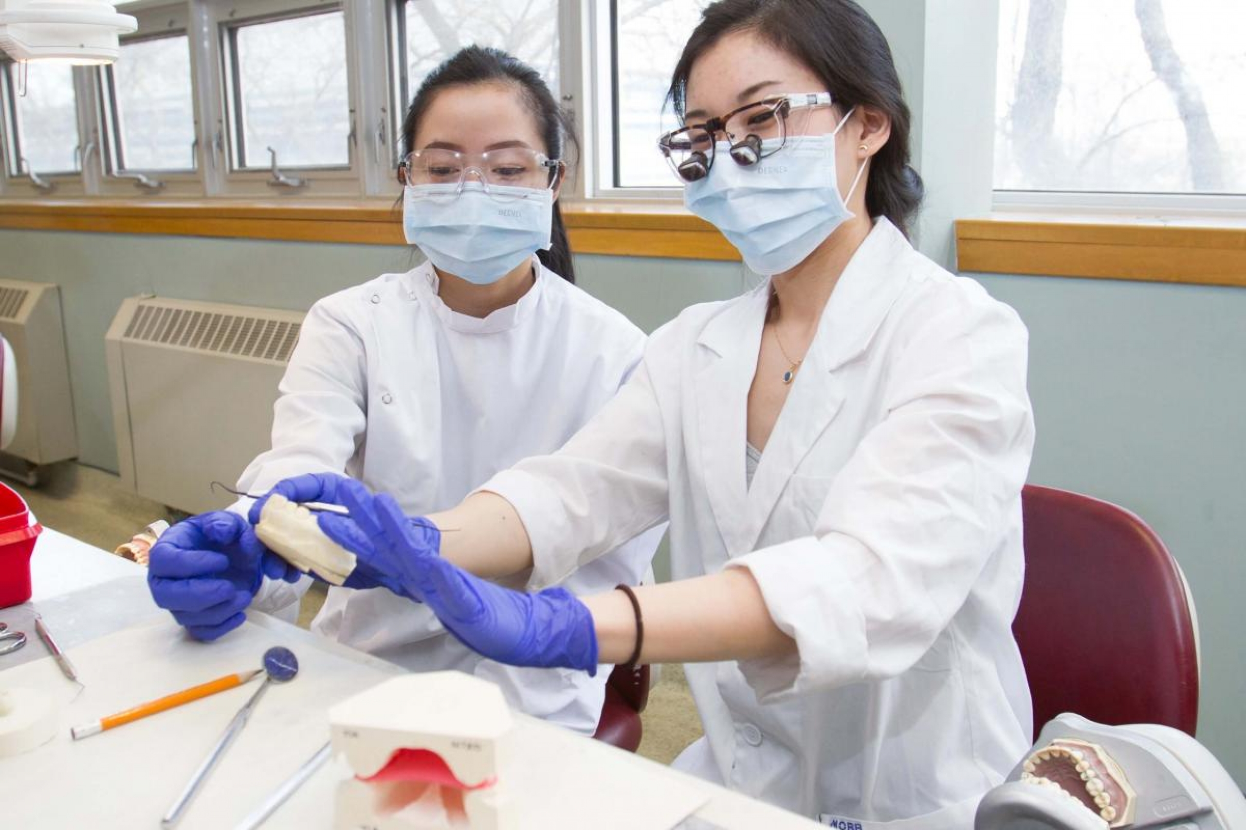 Two dental students working on molds