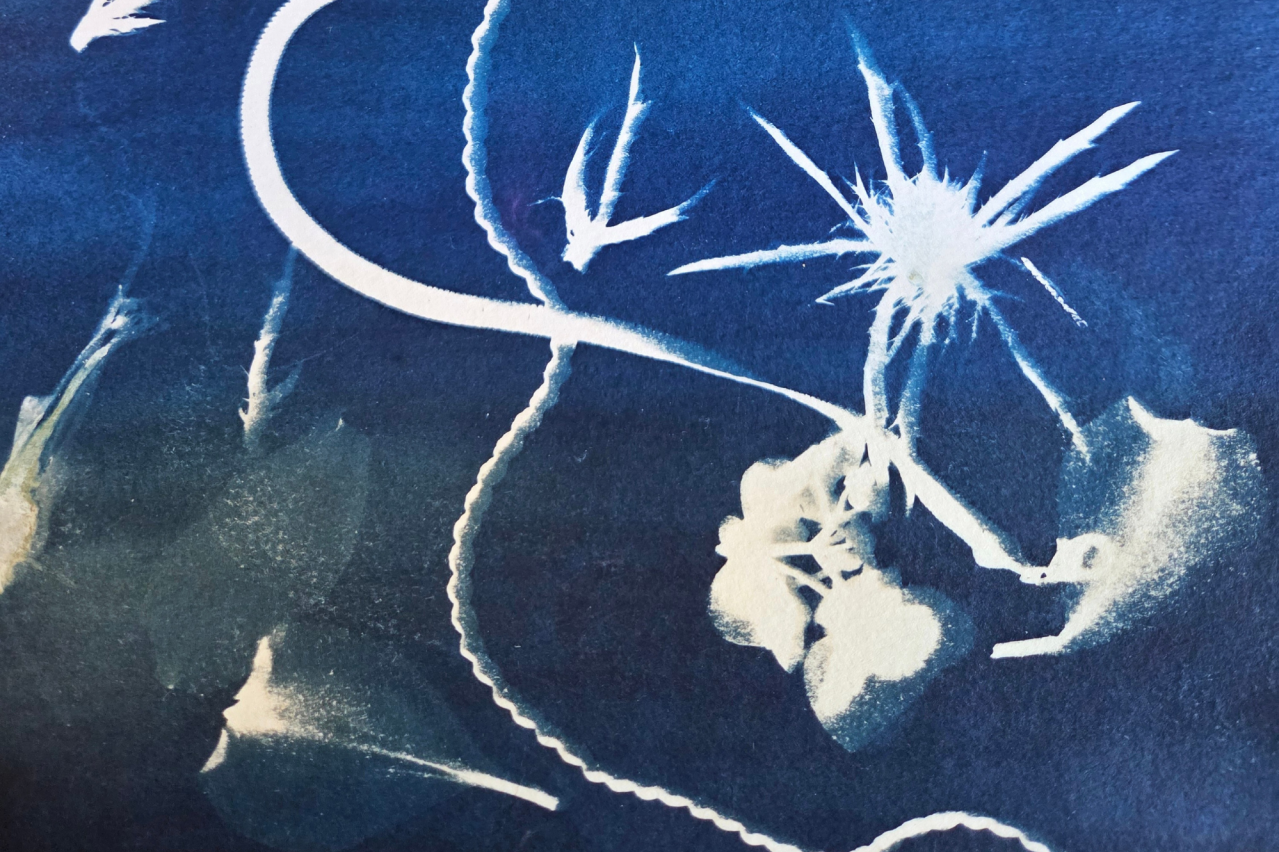 Abstract white marks and starburst shapes on deep blue paper, resembling light trails and organic forms in a cyanotype-style print.