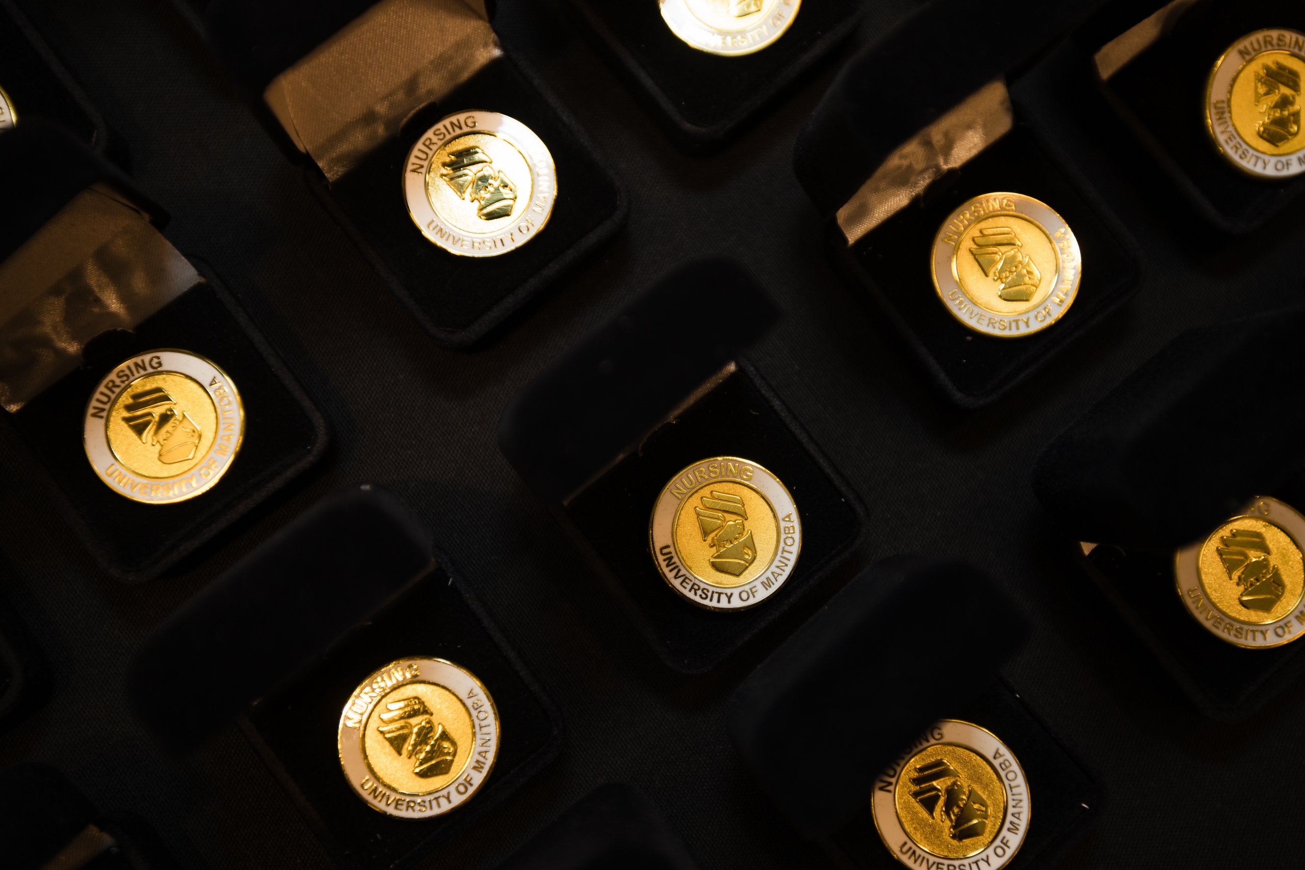 The UM College of Nursing pins.