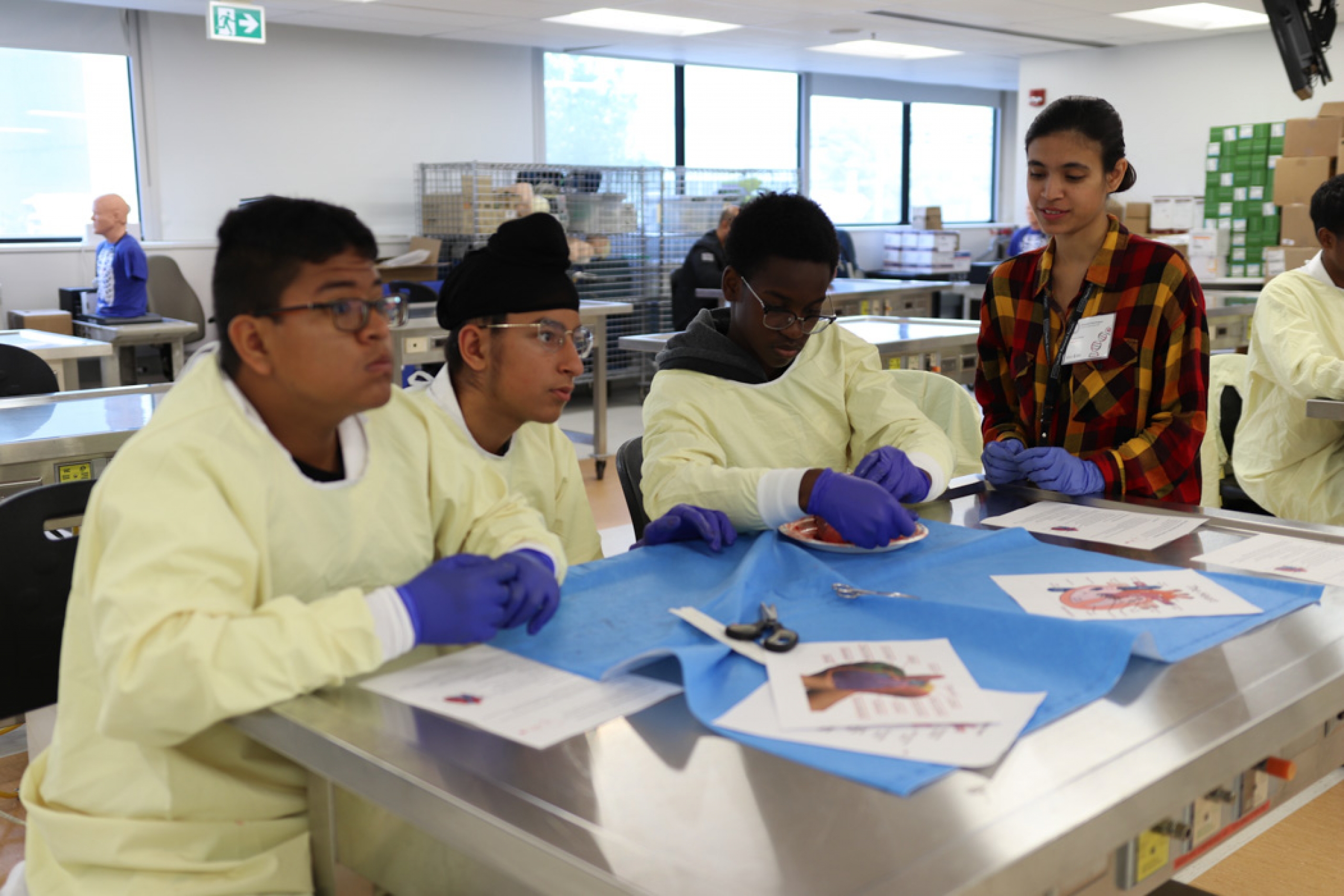 Three campers sit on a lab table, dissecting a heart specimen, while a UM volunteer observes and offers guidance.