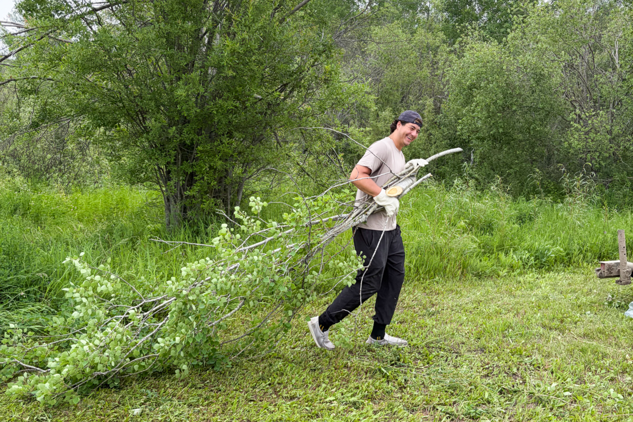 A person carries a tree branch with leaves.