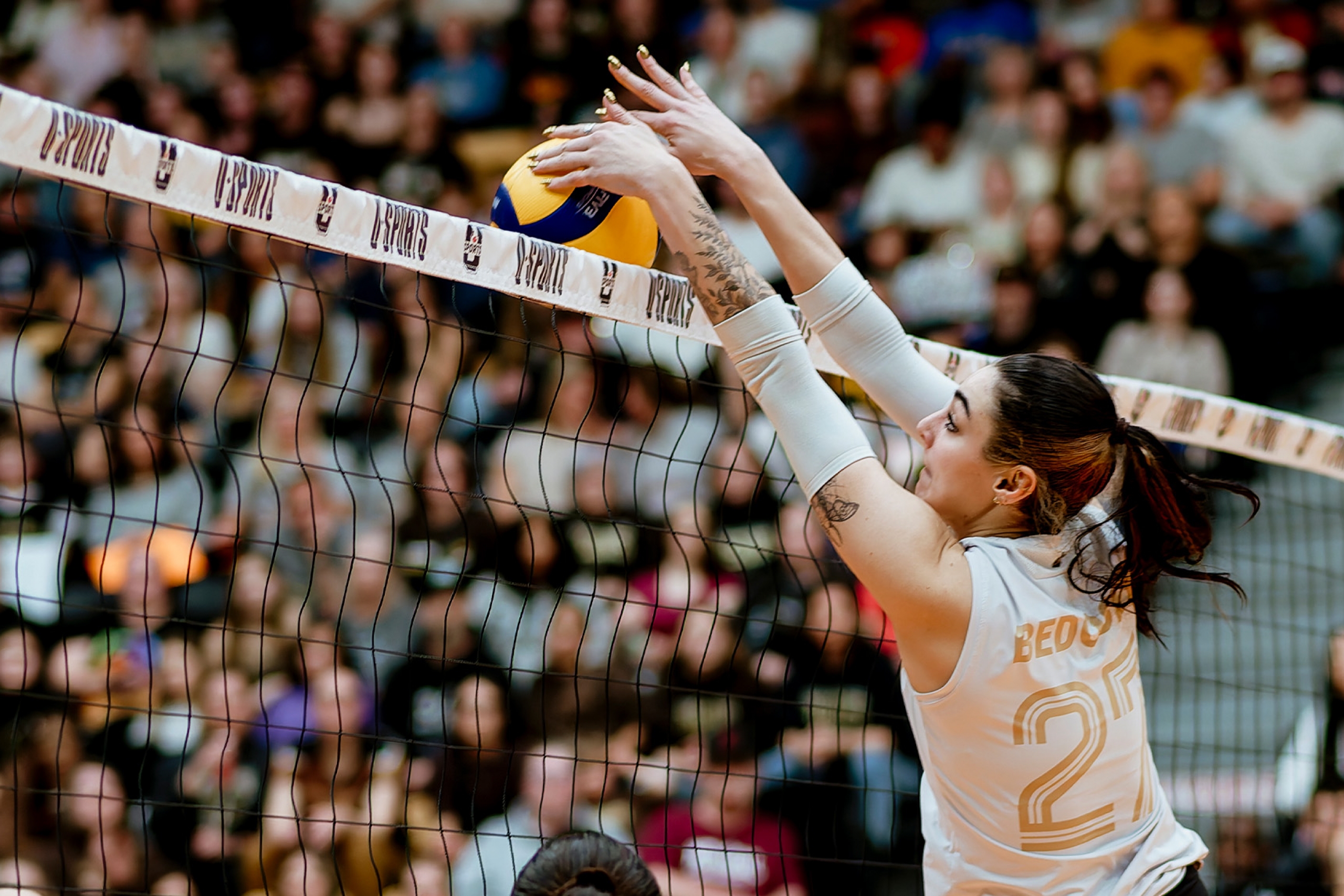 Bedosky blocks the volleyball at the net.
