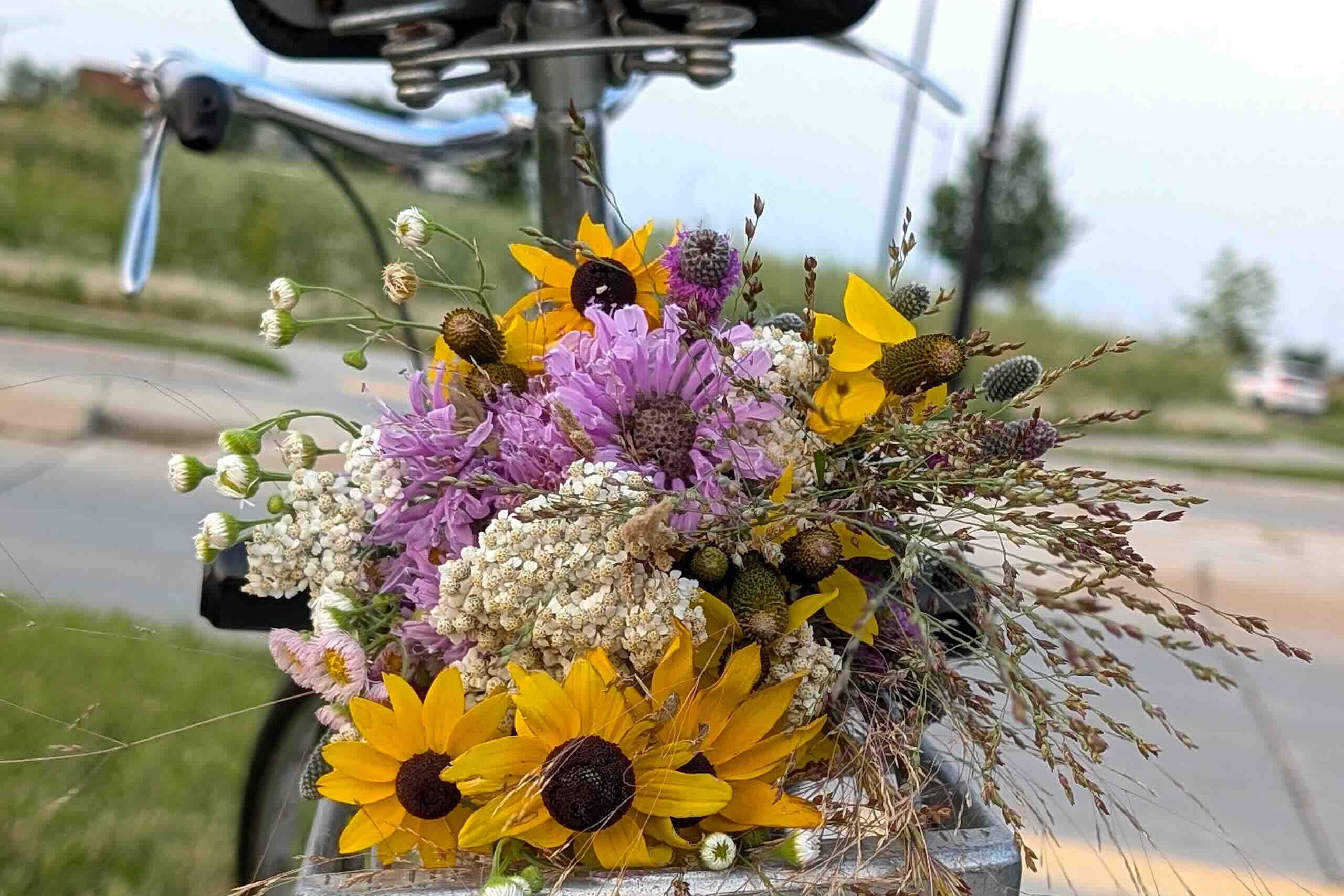 Close-up of a bouquet of hello and purple wildflowers on the back of an old bike.