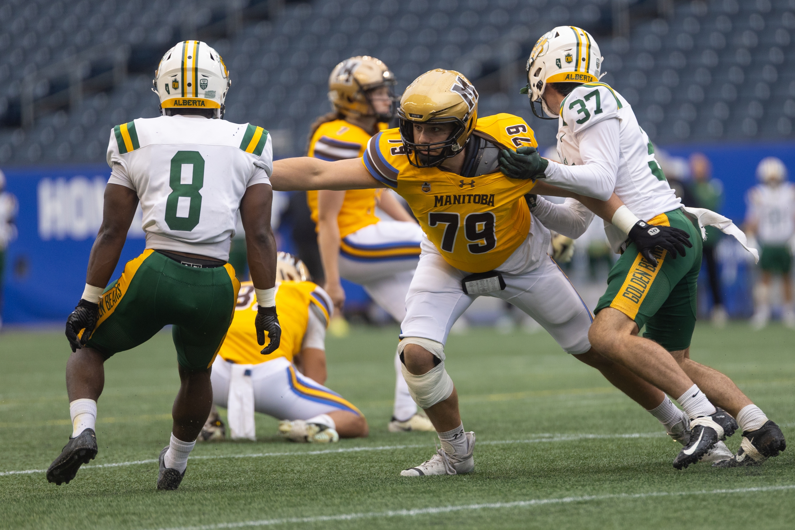 A bisons football student-athlete during a game